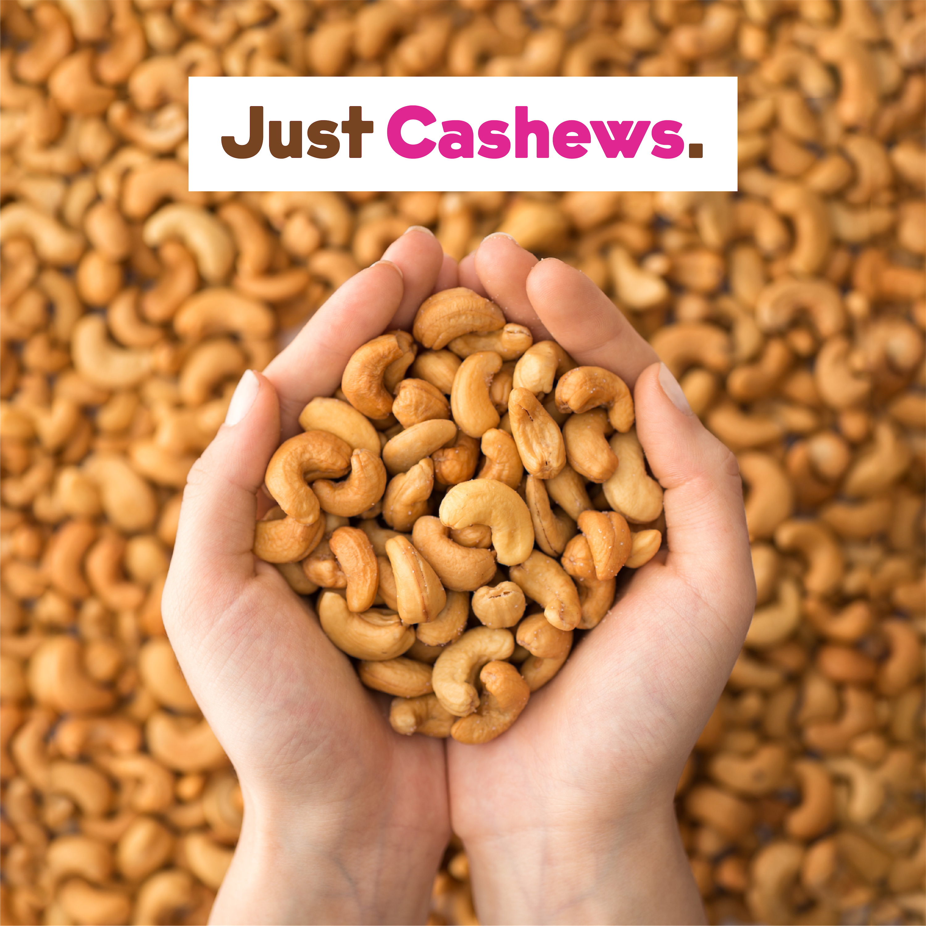 Cashew Milk Base - Bulk