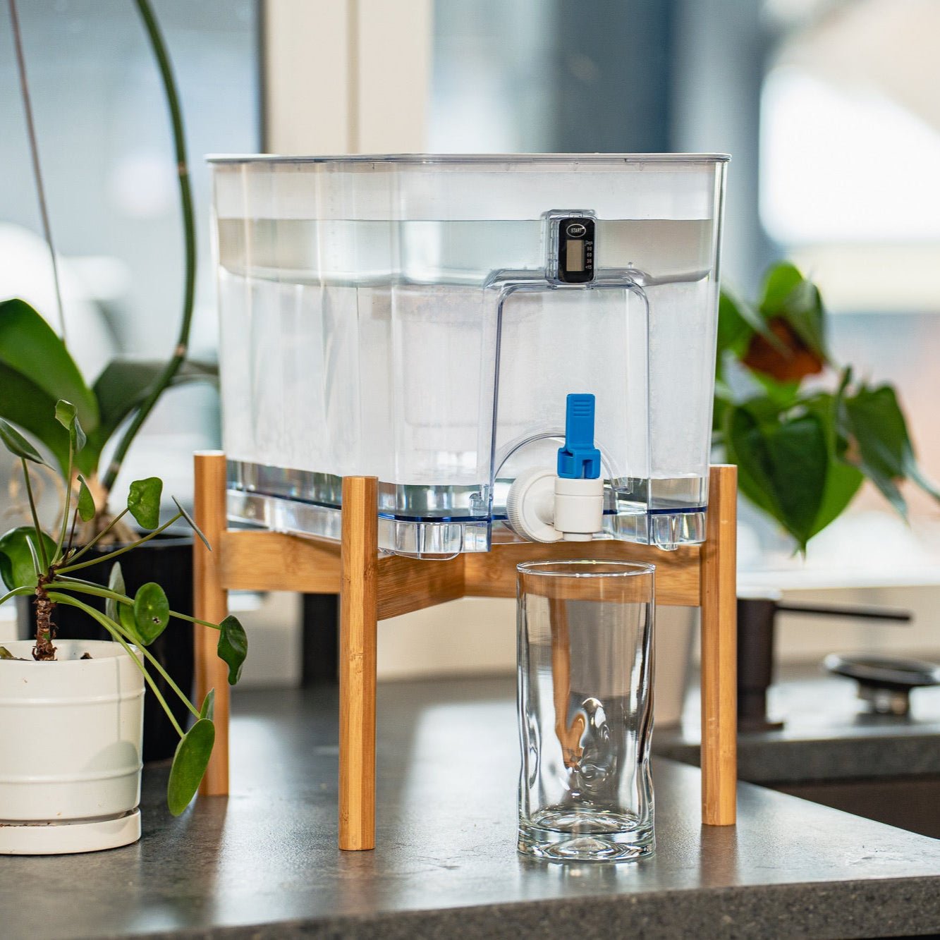 Pure Dispenser | Removes Fluoride &amp; PFAS
