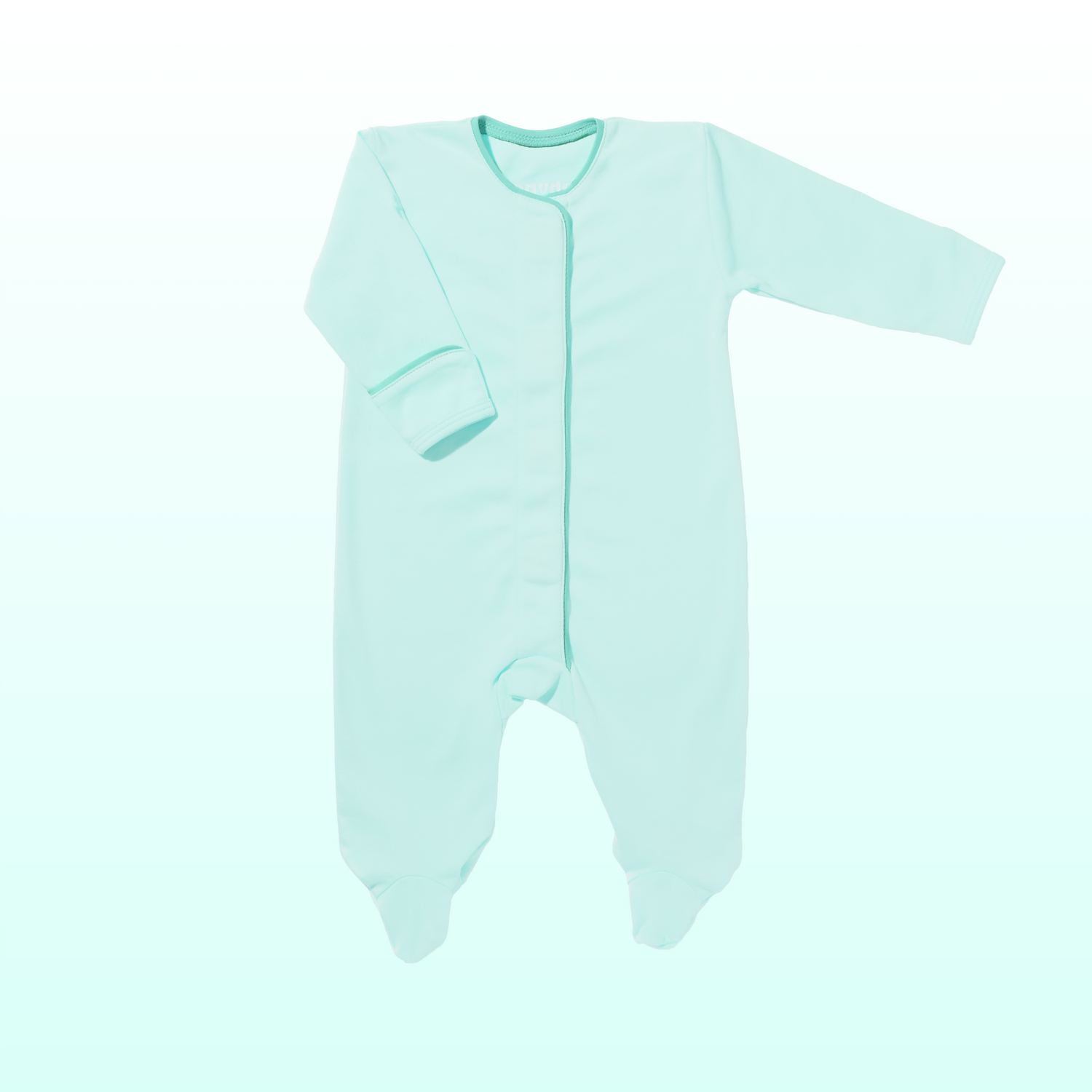 Fresh Mint