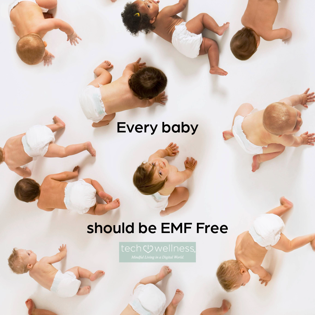 No WiFi &amp; No EMF Wired Baby Monitor System