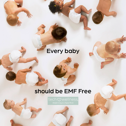 No WiFi &amp; No EMF Wired Baby Monitor System